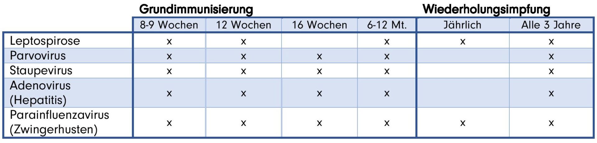 Impfschema Hund