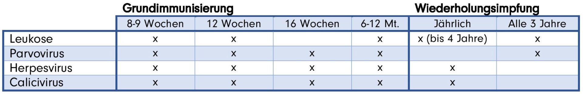 Impfschema Katze